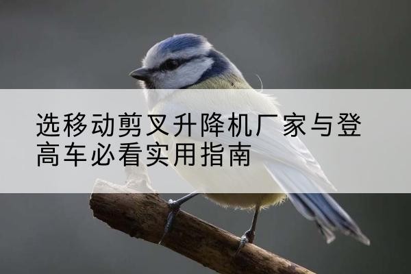 元江电动升降机厂家-选移动剪叉升降机厂家与登高车必看实用指南