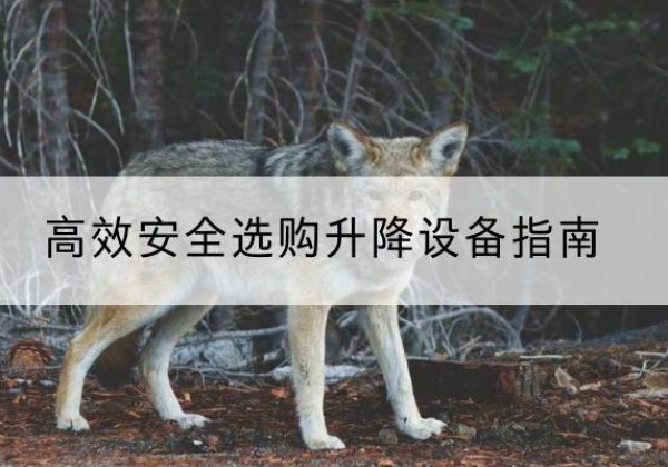 元江升降货梯厂家推荐-*安全选购升降设备指南