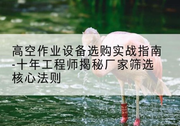 元江剪叉式升降机厂家-高空作业设备选购实战指南-十年工程师揭秘厂家筛选核心法则
