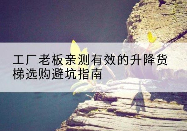 元江升降货梯怎么选-工厂老板亲测有效的升降货梯选购避坑指南